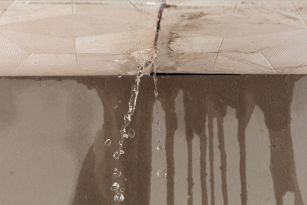 Professional Burst Pipe Cleanup technician working in Tallulah Falls, GA